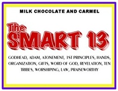 smart 13